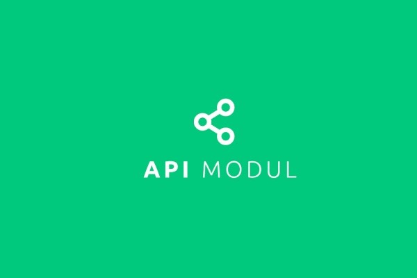 API Modul